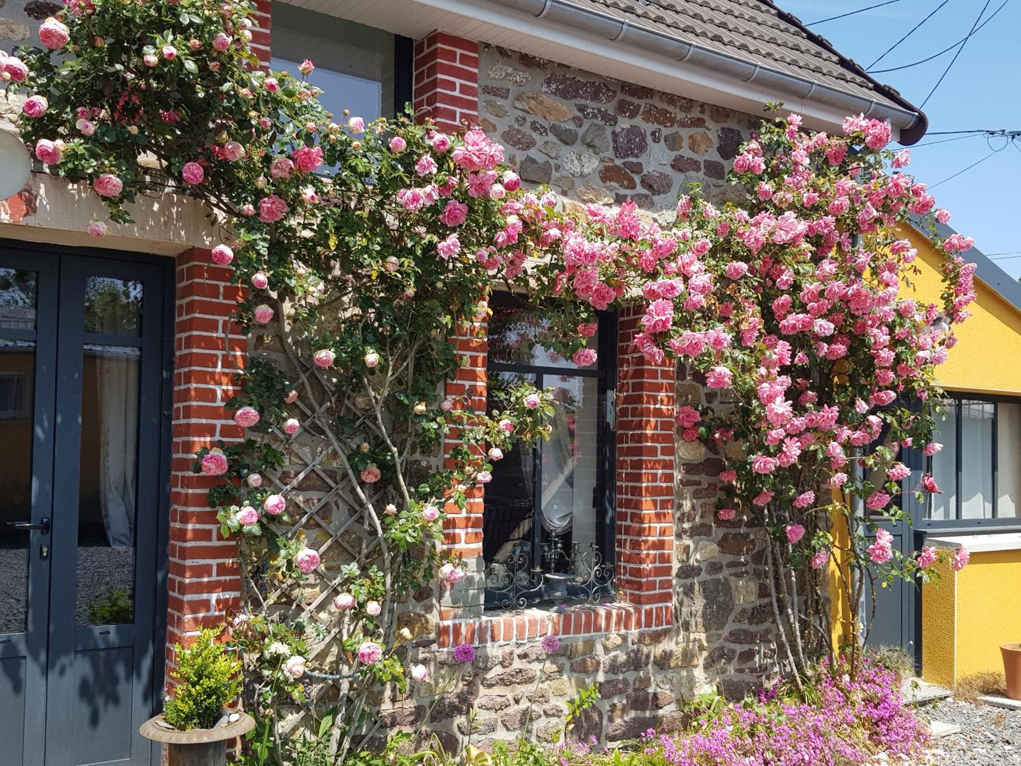 Le Jardin Bed and Breakfast Coudeville Buitenkant foto