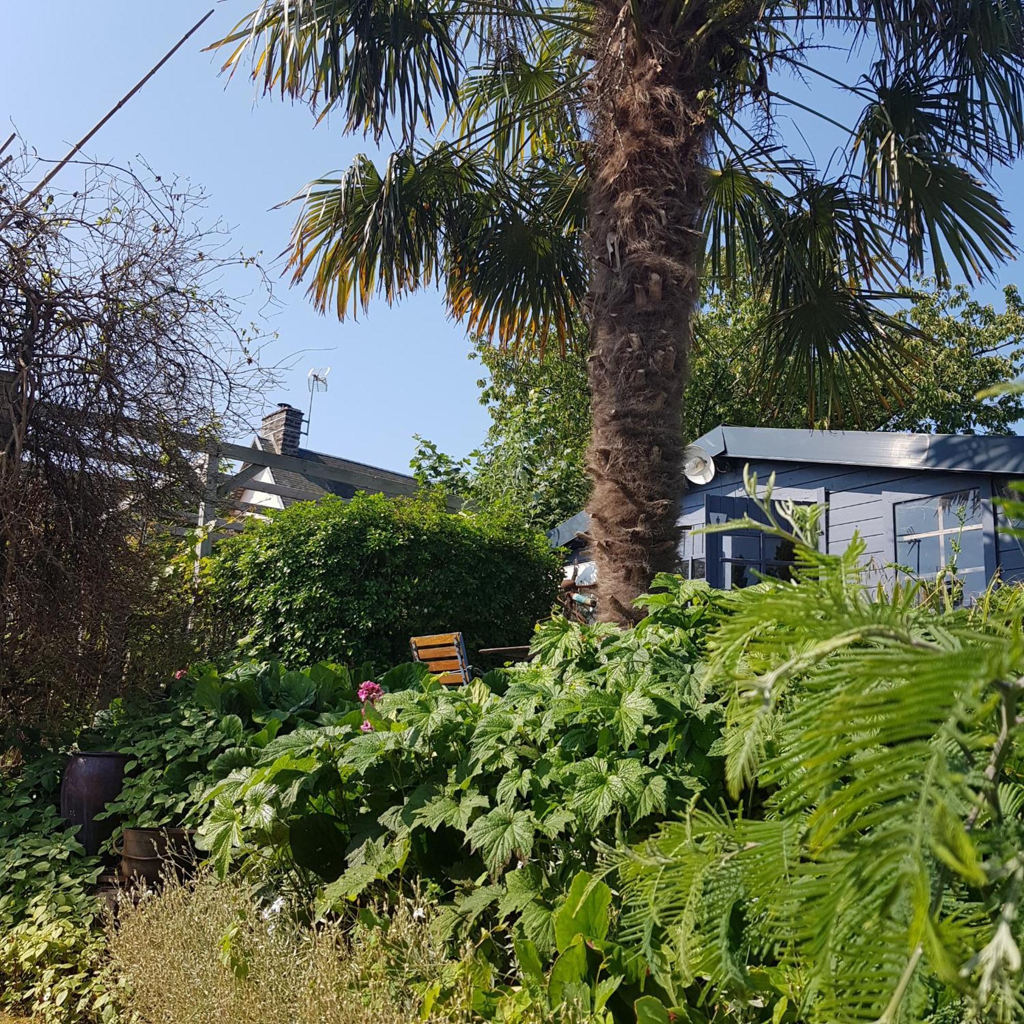 Le Jardin Bed and Breakfast Coudeville Buitenkant foto