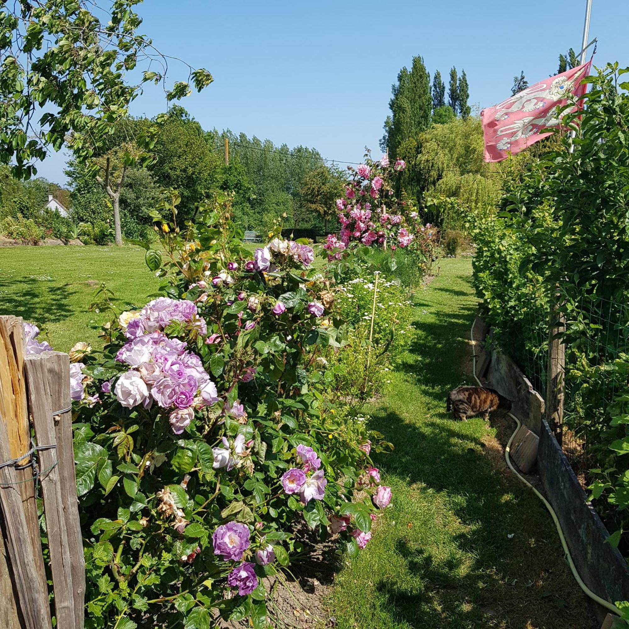 Le Jardin Bed and Breakfast Coudeville Buitenkant foto